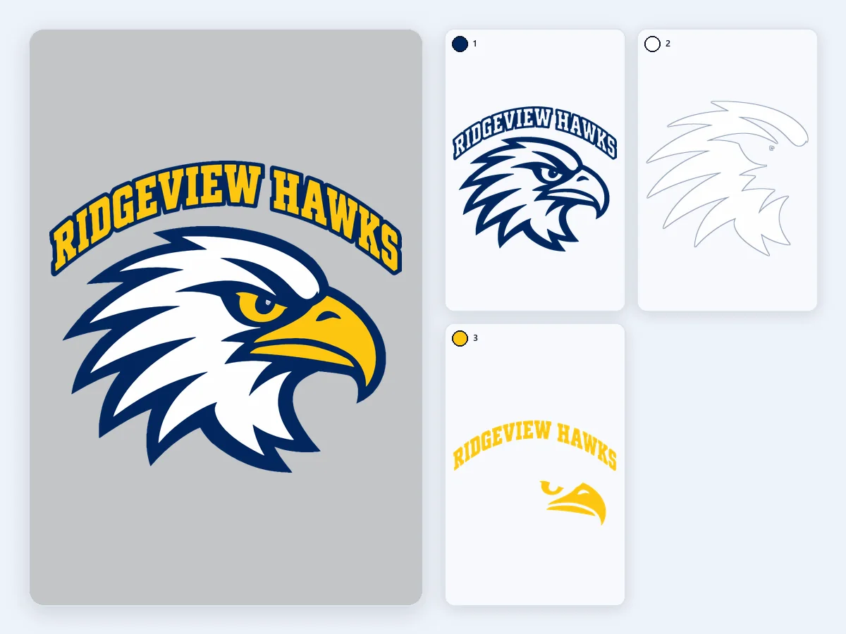 Ridgeview Hawks 球队 T 恤
